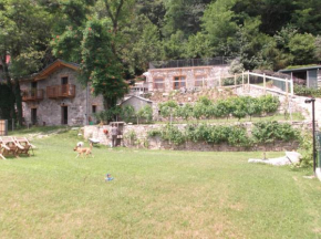 Отель Agriturismo Ai Ronchi  Сорико